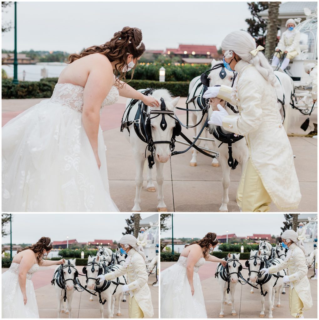 bride petting white ponies at Disney's Wedding Pavilion