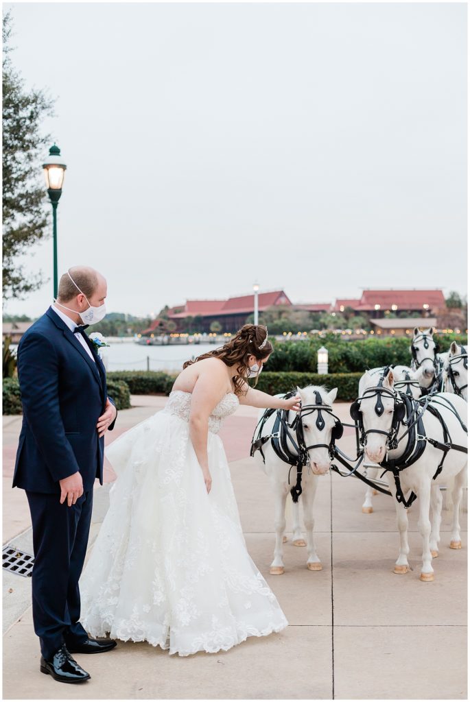 Bride and groom petting white ponies in wedding attire